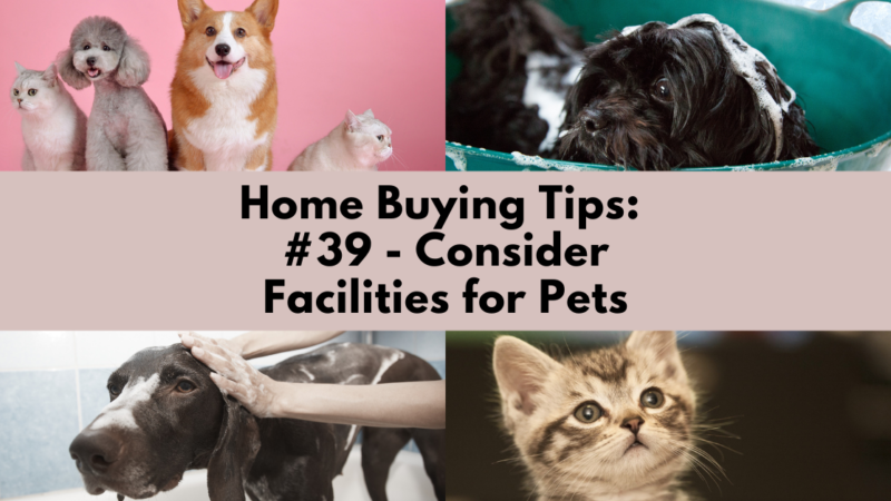 Home Buying Tip: Consider Facilities for Pets